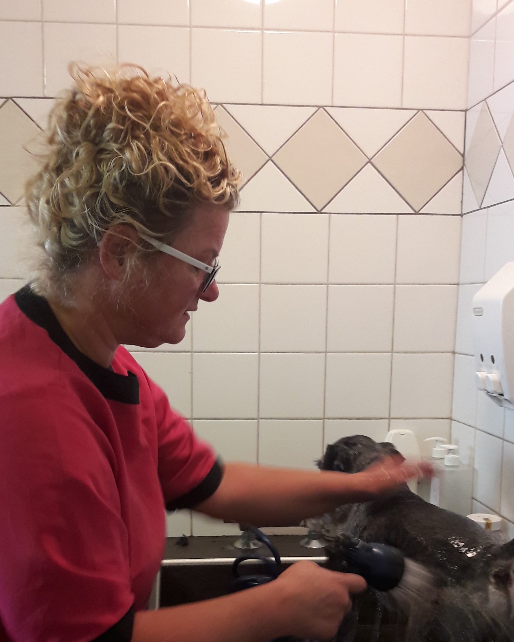 De trimster spoelt een hond af in de wasbak van de salon